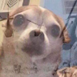 Meet your Posher, Leopoldo